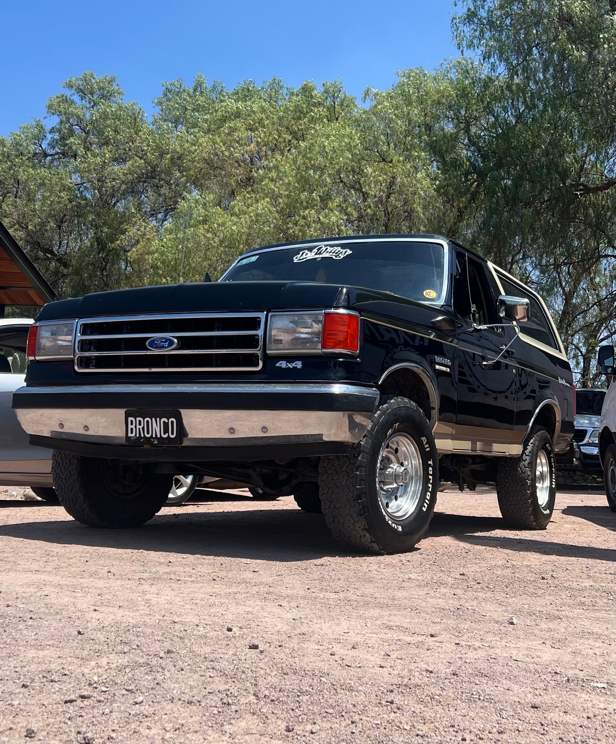 1990 Ford Bronco - Julio R. - LMC Truck Life
